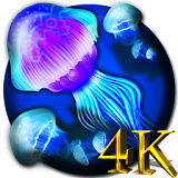 Jellyfishes 4K Live Wallpaper icon