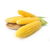 Как варить кукурузу icon