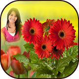 HD Photo Frames - Flowers icon