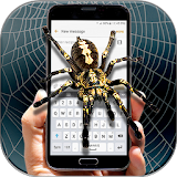 Spider on Screen  -  Scary Prank App icon