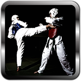 Taekwondo Wallpapers icon