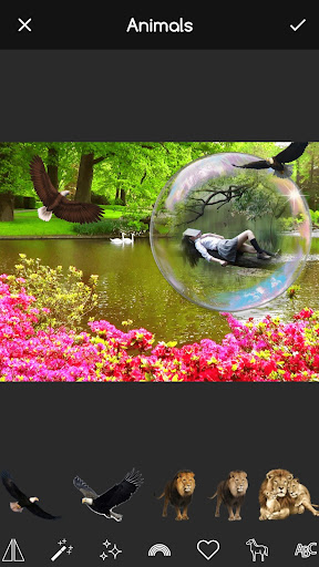 Bubble Frames for Pictures Screen 3