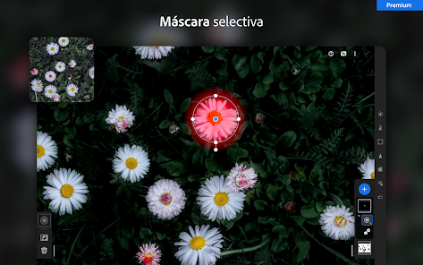Screenshot 15 Lightroom: edita fotos y vídeo android