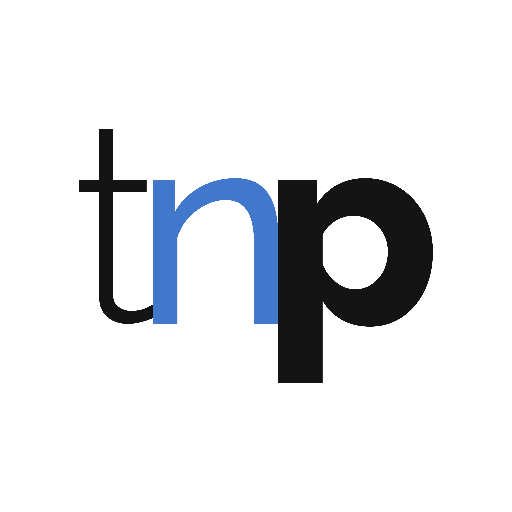 The Niche Partnership logo
