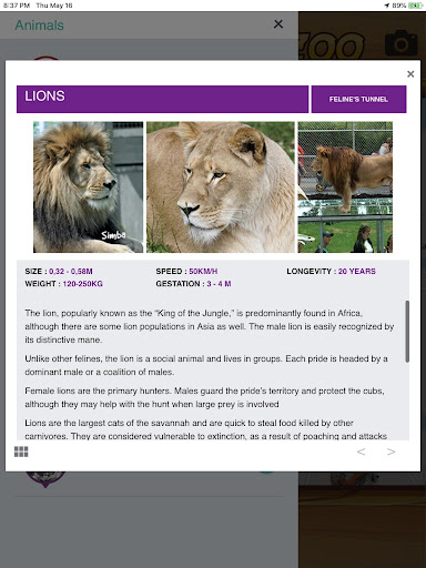 Parc Safari - Hemmingford, QC