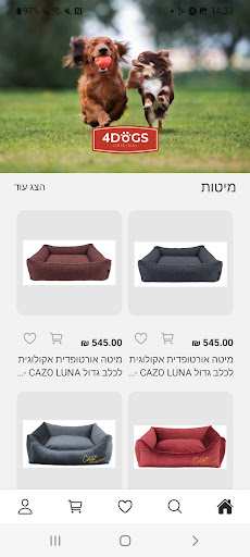 4Dogs Original Screen 2