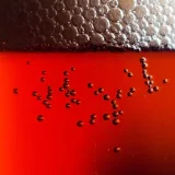 Bubbles in Beer Wallpapers icon