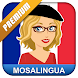 Learn French with MosaLingua