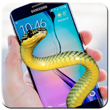 snake on screen prank 2017 icon