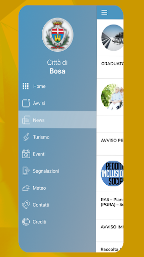 Bosa inAPP Screen 3