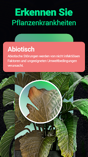 Plantum - Pflanzen bestimmen Screenshot