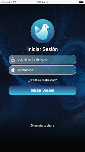 Palominos Screen 2