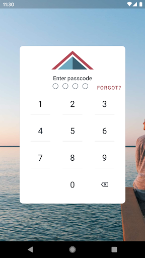 Android application Dart Bank Mobile screenshort