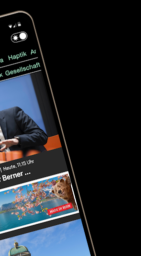 Der Brienzer Screen 3