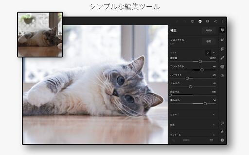 Adobe Lightroom 画像編集 写真加工フィルター By Adobe Google Play Japan Searchman App Data Information