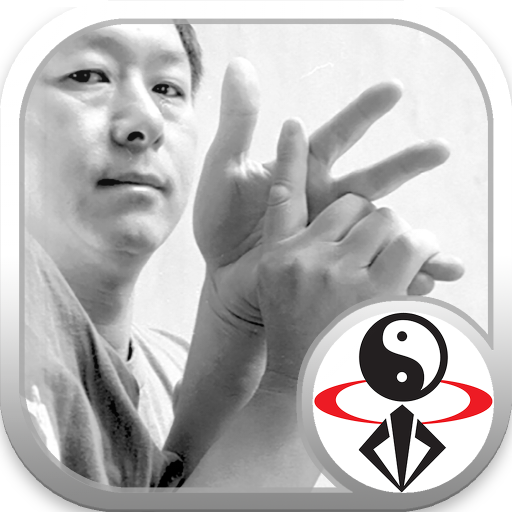 Chin Na in Depth Dr. Yang YMAA logo