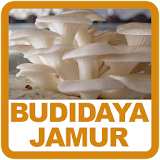Panduan Budidaya Jamur icon