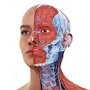 Complete Anatomy 2022 8.6.0 APK 下载