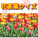 花言葉クイズ & 花図鑑（写真付き） いろんな花の花言葉に関 - Androidアプリ