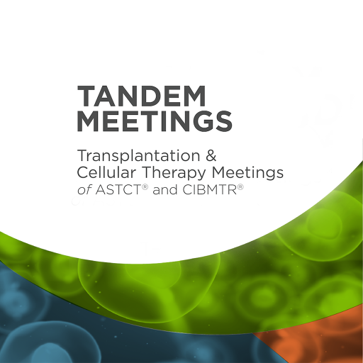TANDEM 2024 logo
