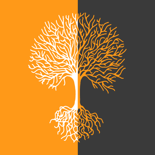 Reseau TSI logo