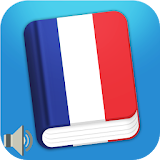Learn French Phrases : French Phrasebook Offline icon