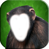 Funny Monkey Photo Changer icon