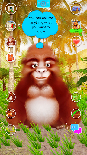 Talking Gorilla Screen 2