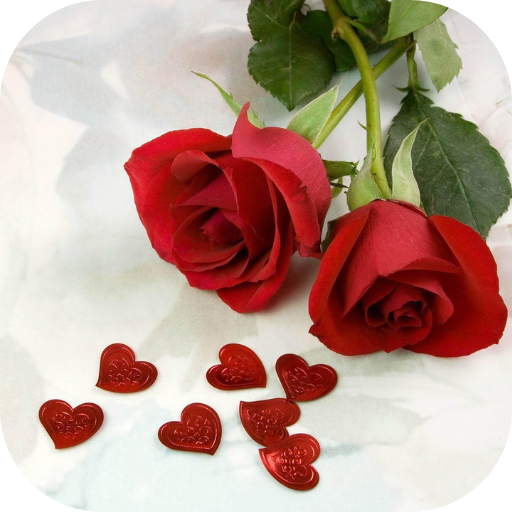 rose love images