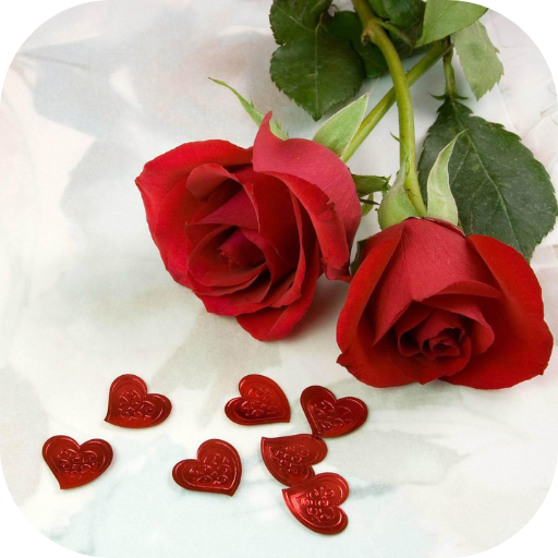 rose love images Download on Windows