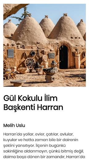 Çamlıca Kitap screenshot 4