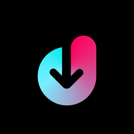 TikSaver-Save Video Download on Windows
