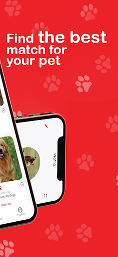 Duo-Pet Screen 2