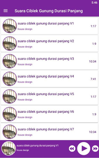 Suara Ciblek Gunung Durasi Panjang