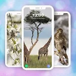 Cover Image of Download Wallpapers Animal  APK