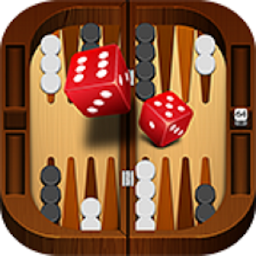 Board game - Wooden backgammon