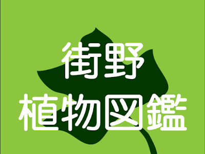 【印刷可能】 植物 種 図鑑 250695