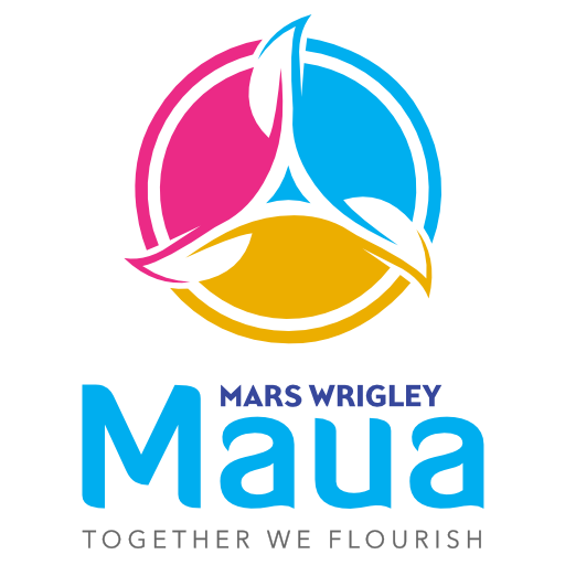 Maua DMS logo