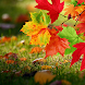 Autumn Live Wallpaper - Androidアプリ