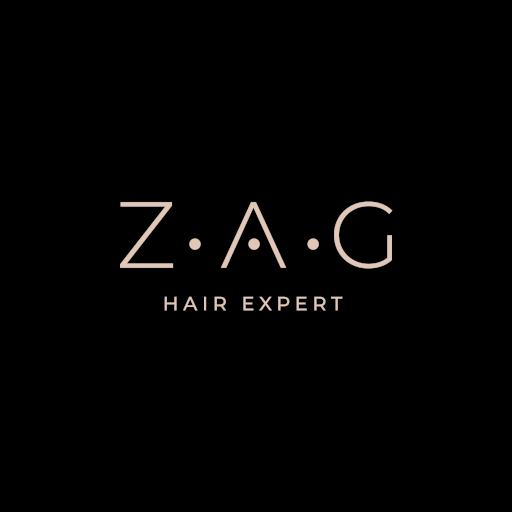 Hair expert logo