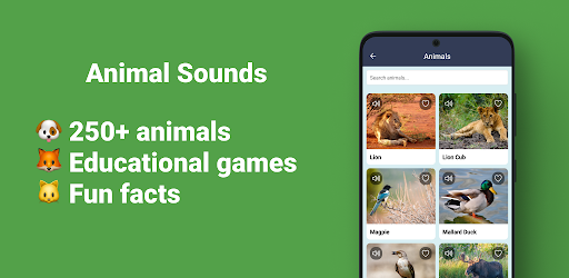 Animal Sounds