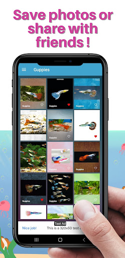 Aquarium Fish WallPaper Screen 3