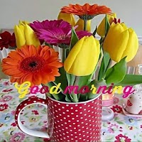 Good Morning Flowers Images