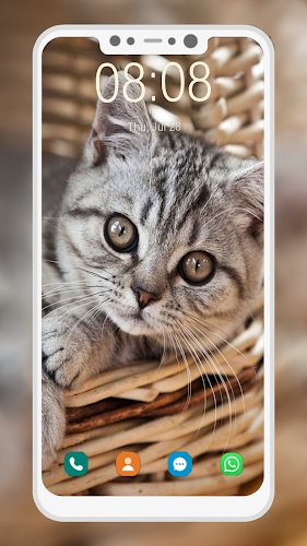 Cute Cat Wallpaper - Latest version for Android - Download APK