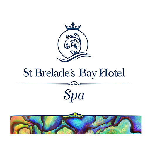 STBBH Hair Salon and Spa logo