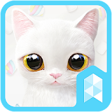 Marshmallow Cat Live theme icon