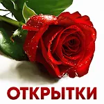 Cover Image of Скачать Открытки на все случаи жизни 1.5.5 APK