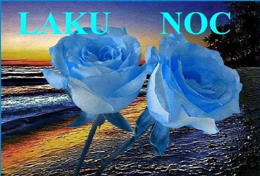 laku noc Screenshot 4 - AppWisp.com