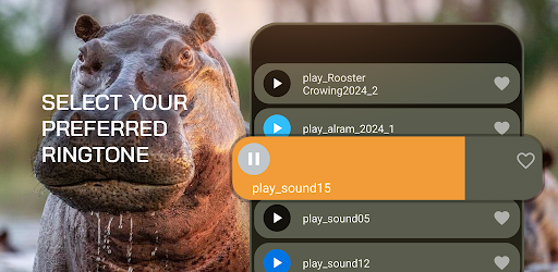 Hippo: Sounds & Ringtones
