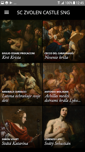 Second Canvas Zvolen Castle SN